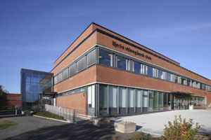 Bjerke