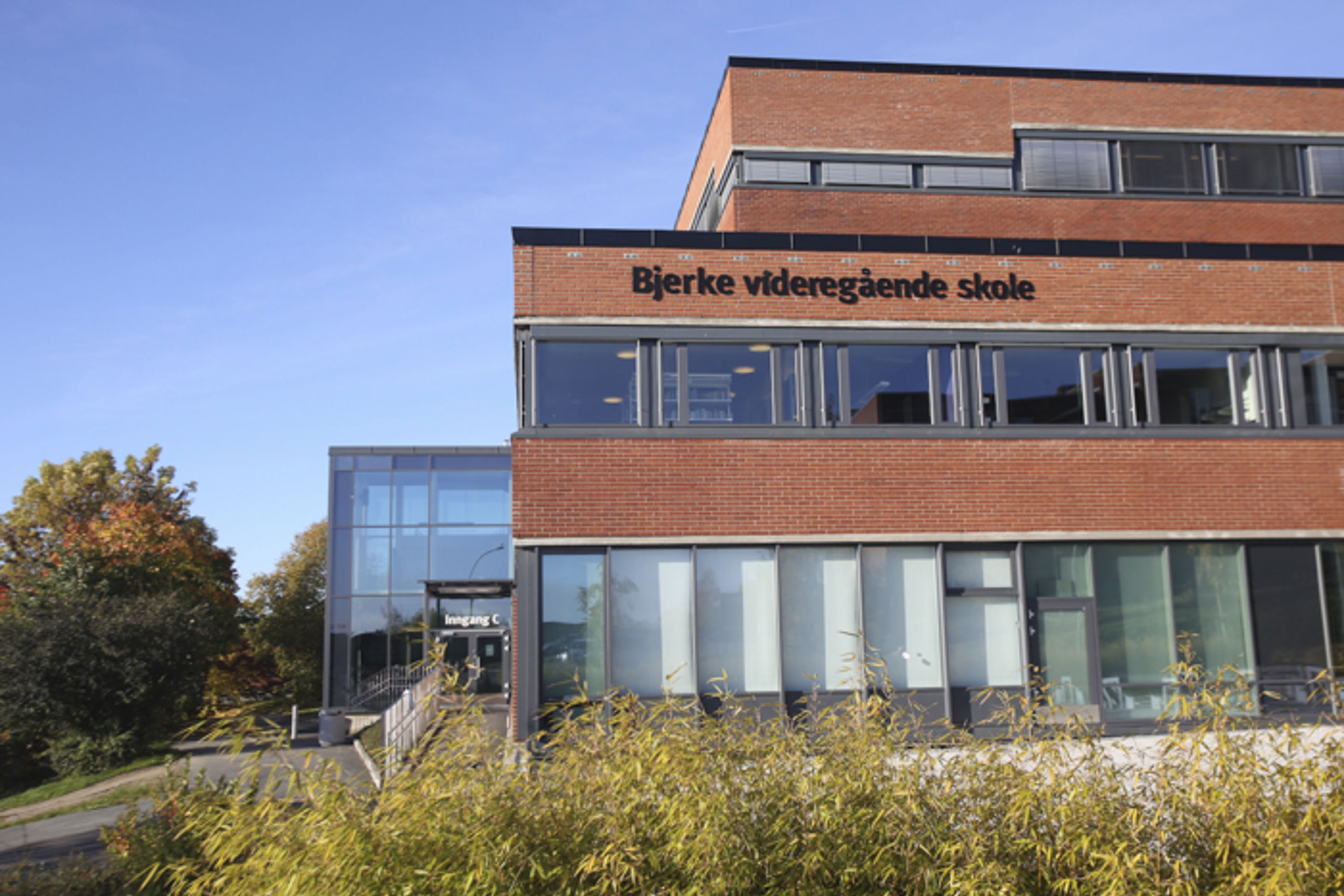 Bjerke