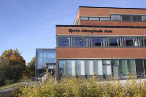 Bjerke