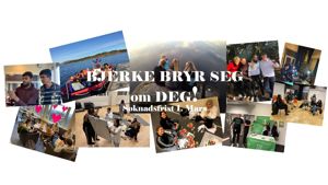 Bjerke vgs
