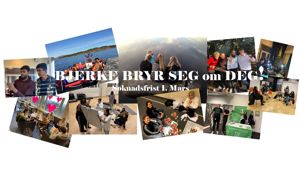 Bjerke2021