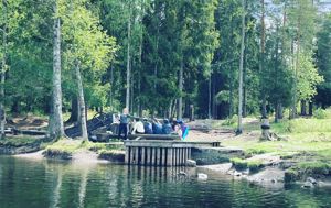 Sommer landskap